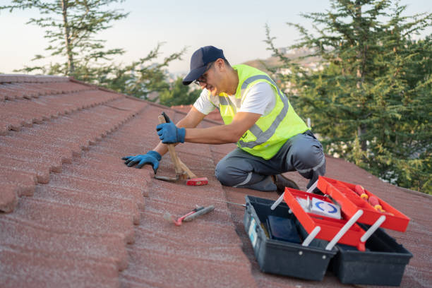 Roof Gutter Cleaning in Madera, CA